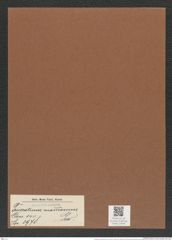 Triceratium mammosum Grev. (de-Toni-Nr.: Genus 140, Species 3978) Zeichnungen Sammlung Grunow Mappe 03976 (Herbarium_W_Grunow_drawings_Folder_03976)